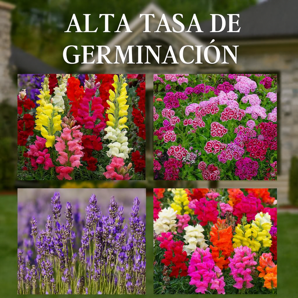 🌺100 SEMILLAS MIXTA DE FLORES + GUIA DE CUIDADO🌼