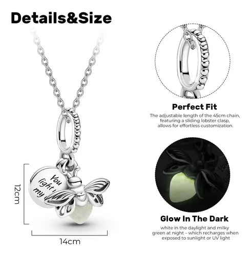 COLLAR DE LUJO EVANGELINE PLATA✨