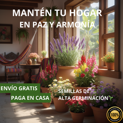 🌺100 SEMILLAS MIXTA DE FLORES + GUIA DE CUIDADO🌼
